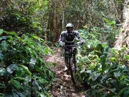 Descente du Maïdo en VTT